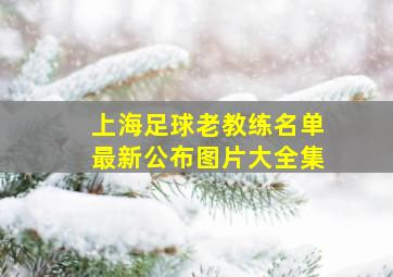 上海足球老教练名单最新公布图片大全集