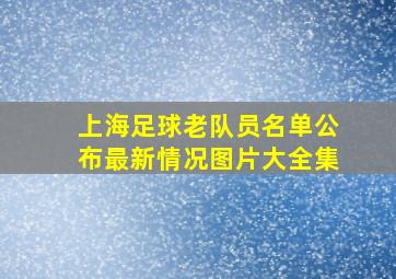 上海足球老队员名单公布最新情况图片大全集