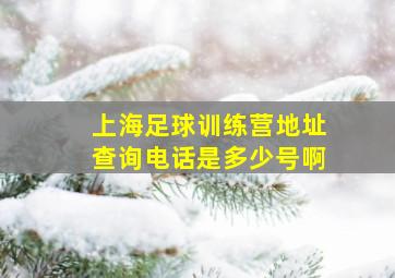 上海足球训练营地址查询电话是多少号啊