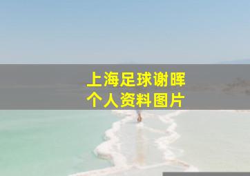 上海足球谢晖个人资料图片