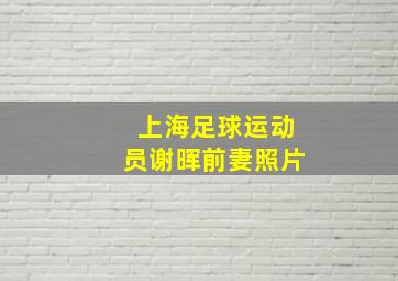 上海足球运动员谢晖前妻照片