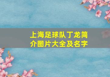 上海足球队丁龙简介图片大全及名字