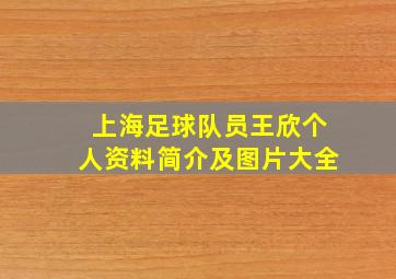 上海足球队员王欣个人资料简介及图片大全