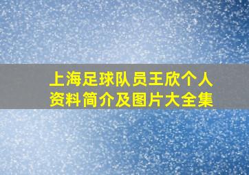 上海足球队员王欣个人资料简介及图片大全集