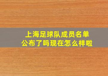 上海足球队成员名单公布了吗现在怎么样啦