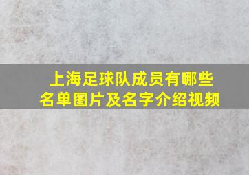 上海足球队成员有哪些名单图片及名字介绍视频