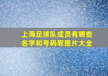 上海足球队成员有哪些名字和号码呢图片大全