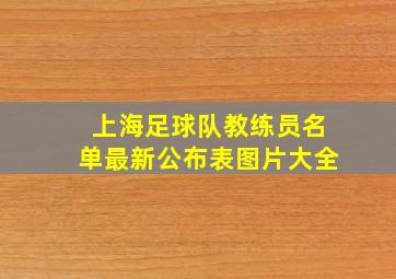 上海足球队教练员名单最新公布表图片大全