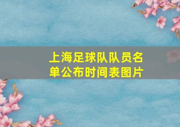 上海足球队队员名单公布时间表图片