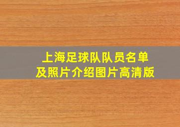 上海足球队队员名单及照片介绍图片高清版