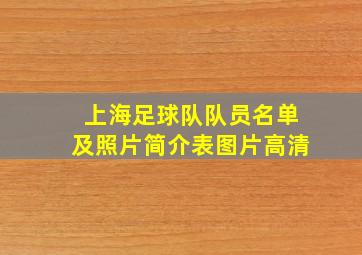 上海足球队队员名单及照片简介表图片高清