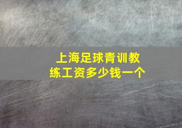 上海足球青训教练工资多少钱一个