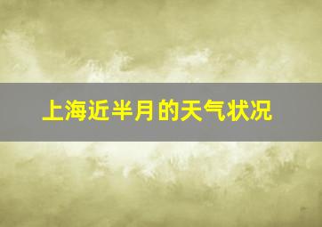 上海近半月的天气状况