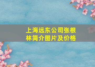 上海远东公司张根林简介图片及价格