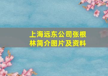 上海远东公司张根林简介图片及资料