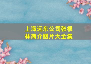 上海远东公司张根林简介图片大全集