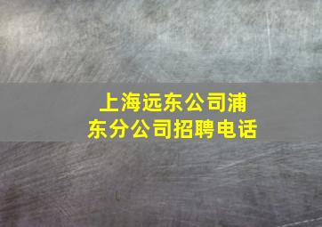 上海远东公司浦东分公司招聘电话