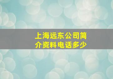 上海远东公司简介资料电话多少