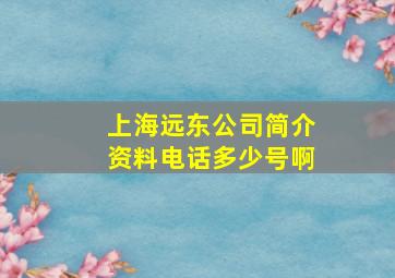 上海远东公司简介资料电话多少号啊