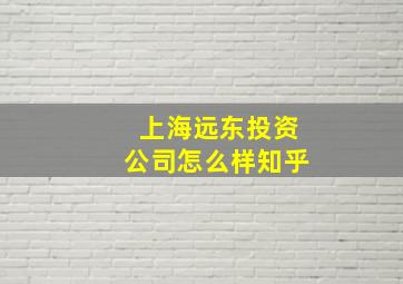 上海远东投资公司怎么样知乎