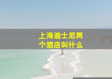 上海迪士尼两个酒店叫什么