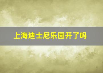 上海迪士尼乐园开了吗