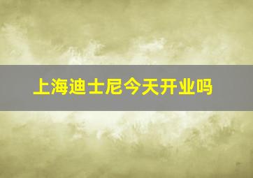 上海迪士尼今天开业吗