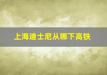 上海迪士尼从哪下高铁