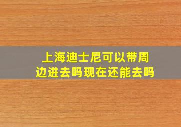 上海迪士尼可以带周边进去吗现在还能去吗