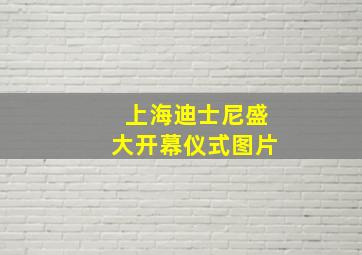 上海迪士尼盛大开幕仪式图片