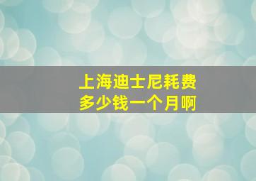 上海迪士尼耗费多少钱一个月啊