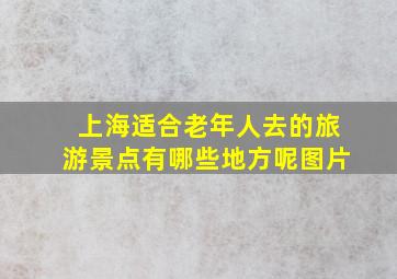 上海适合老年人去的旅游景点有哪些地方呢图片