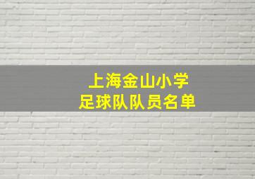 上海金山小学足球队队员名单