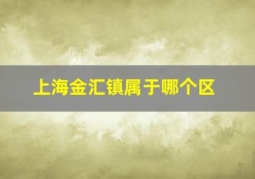 上海金汇镇属于哪个区