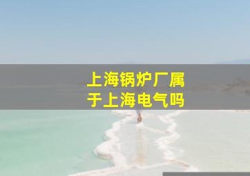 上海锅炉厂属于上海电气吗