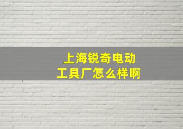 上海锐奇电动工具厂怎么样啊