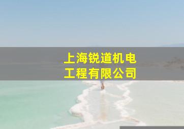 上海锐道机电工程有限公司