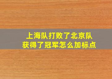 上海队打败了北京队获得了冠军怎么加标点