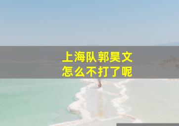 上海队郭昊文怎么不打了呢