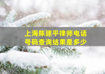 上海陈建平律师电话号码查询结果是多少