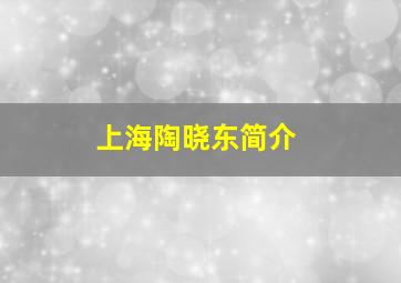 上海陶晓东简介