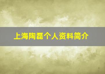 上海陶磊个人资料简介