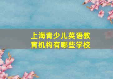 上海青少儿英语教育机构有哪些学校