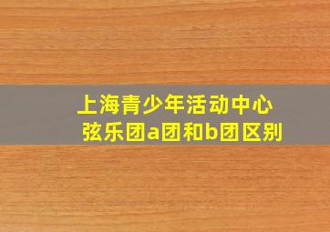 上海青少年活动中心弦乐团a团和b团区别