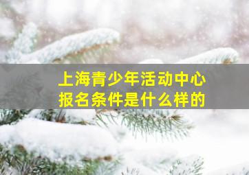 上海青少年活动中心报名条件是什么样的