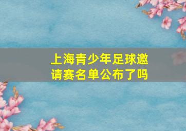 上海青少年足球邀请赛名单公布了吗