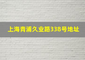 上海青浦久业路338号地址