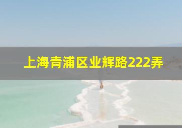 上海青浦区业辉路222弄