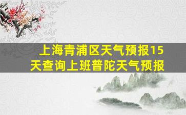 上海青浦区天气预报15天查询上班普陀天气预报