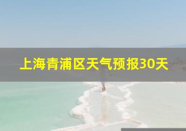 上海青浦区天气预报30天